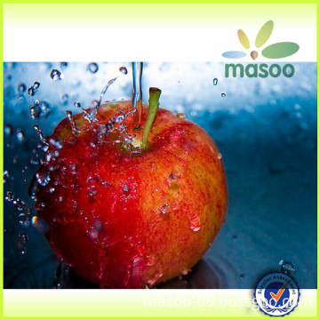 wholesale prices apple fruit/apple/fresh apple with high quality